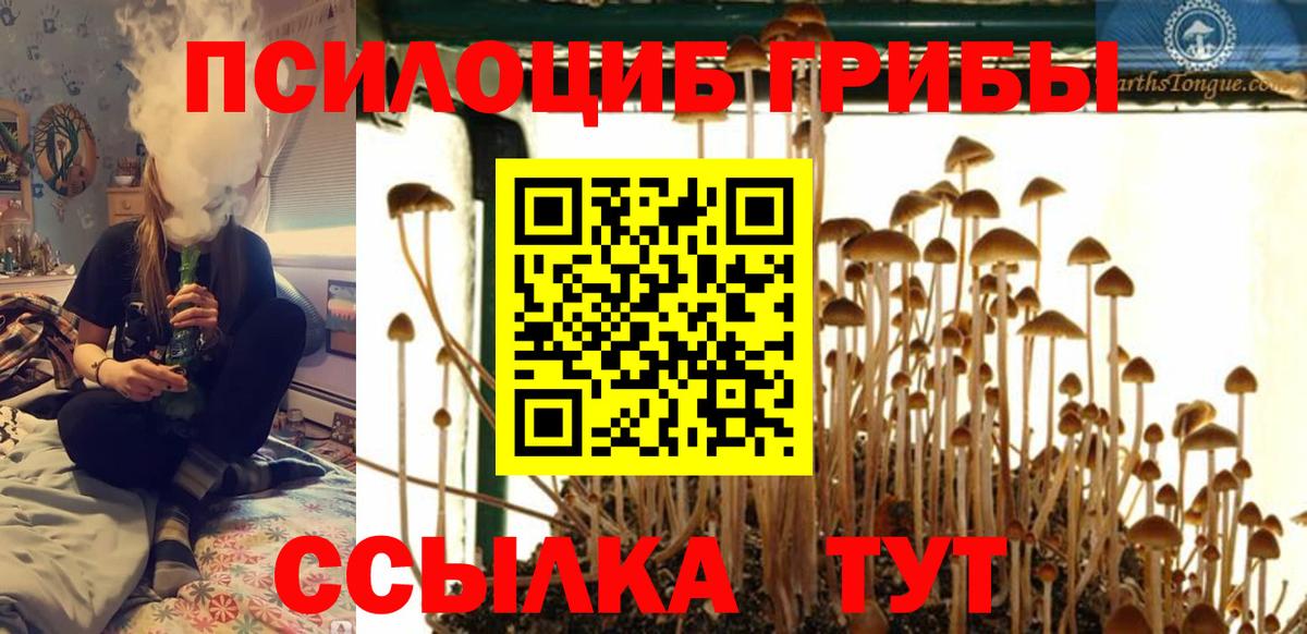 Псилоцибиновые грибы Magic Shrooms Реутов