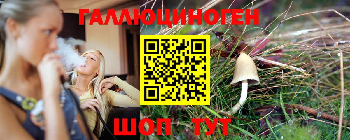 Галлюциногенные грибы мицелий  Галлюциногенные грибы прущие грибы  Вход с VPN  Реутов 